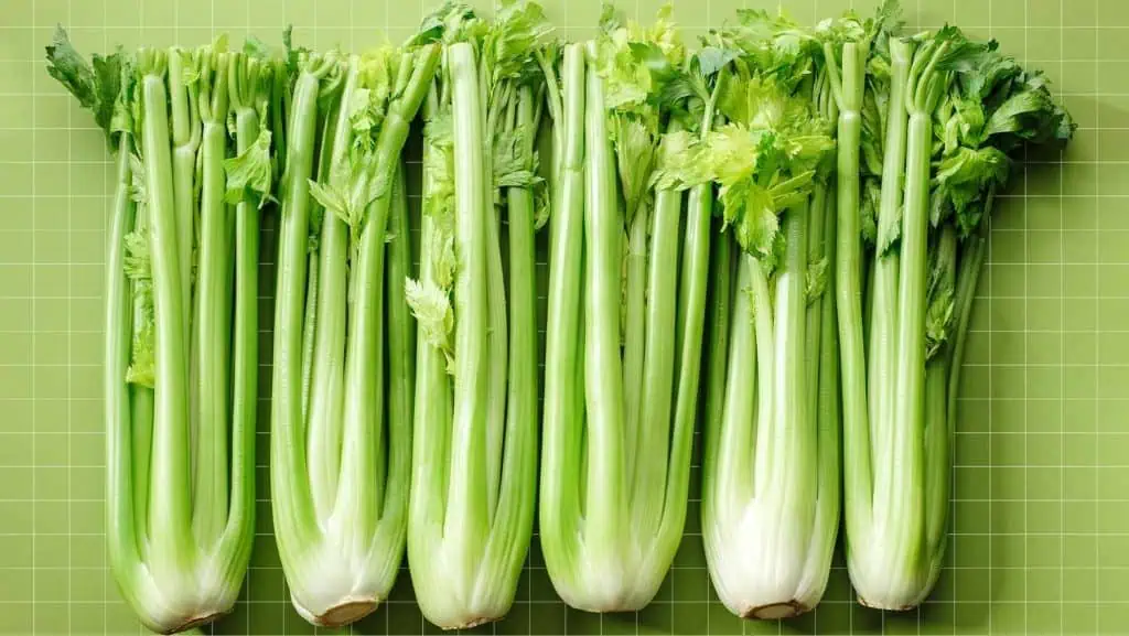 Celery