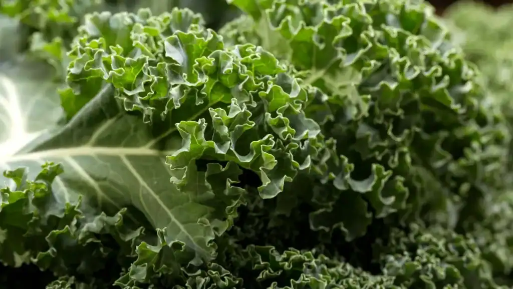Kale