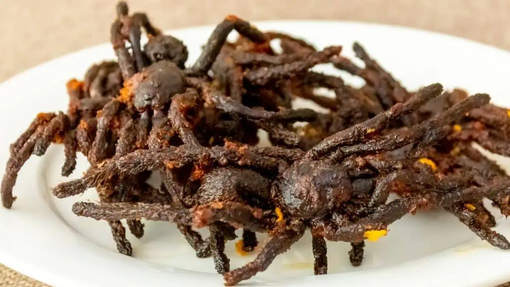 Fried Tarantulas