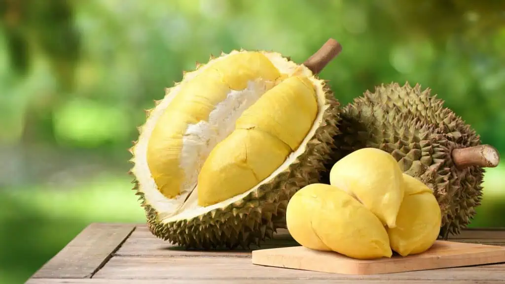 Durian Fruit