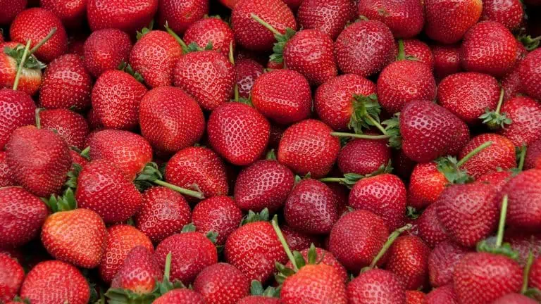 Strawberry