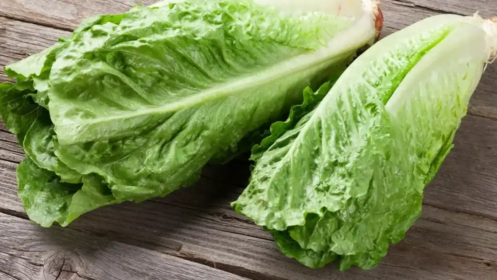 Lettuce