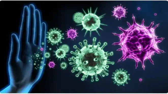 Strengthen Immunity