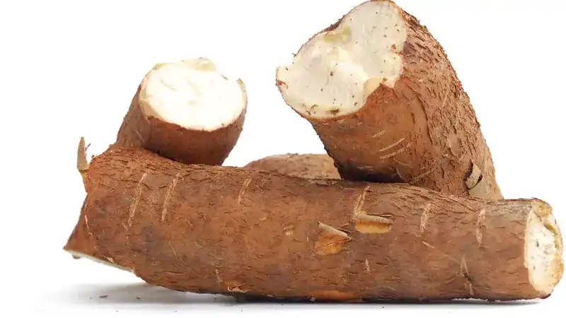 Cassava