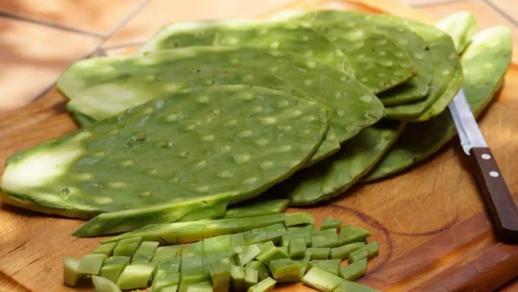 Cactus Pads
