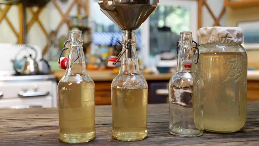 Kefir Brew