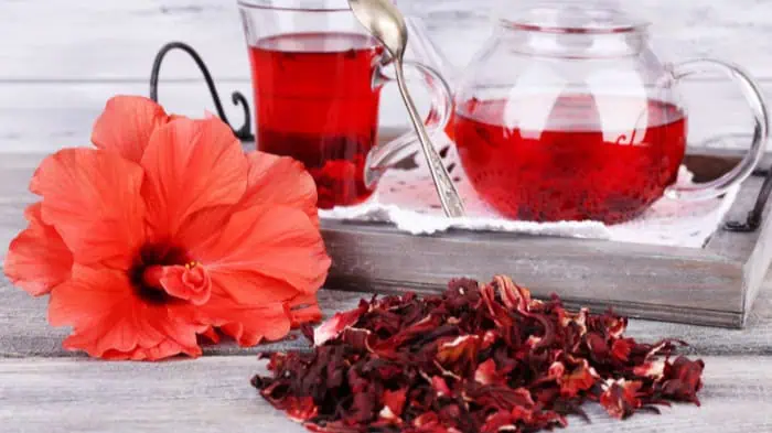 Hibiscus