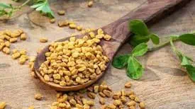 Fenugreek