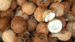 Coconuts