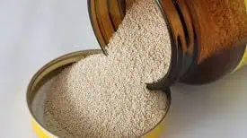 Yeast