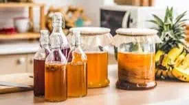 Kombucha