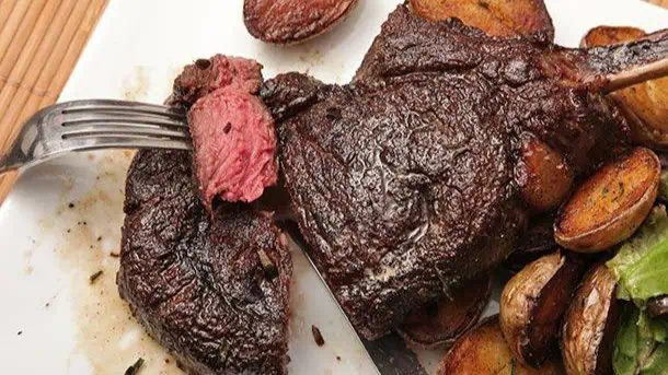 Bison