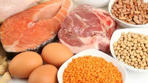 Protein at Every Meal