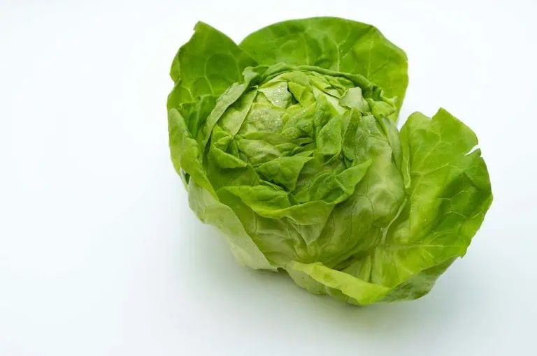 10 Cabbage Recipes That Will Convert Anyone Who Thinks They Hates Cabbage