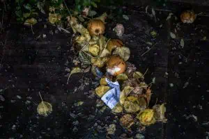 How Food Waste Reveals the Way We Value Life and Each Other