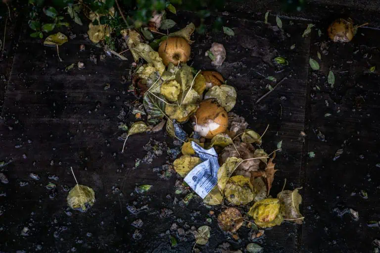 How Food Waste Reveals the Way We Value Life and Each Other