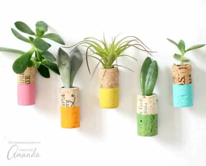colorful diy wine cork succulent holder