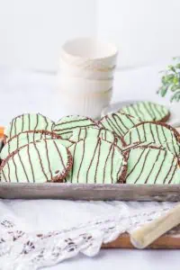 Thin Mint Chocolate Cookies