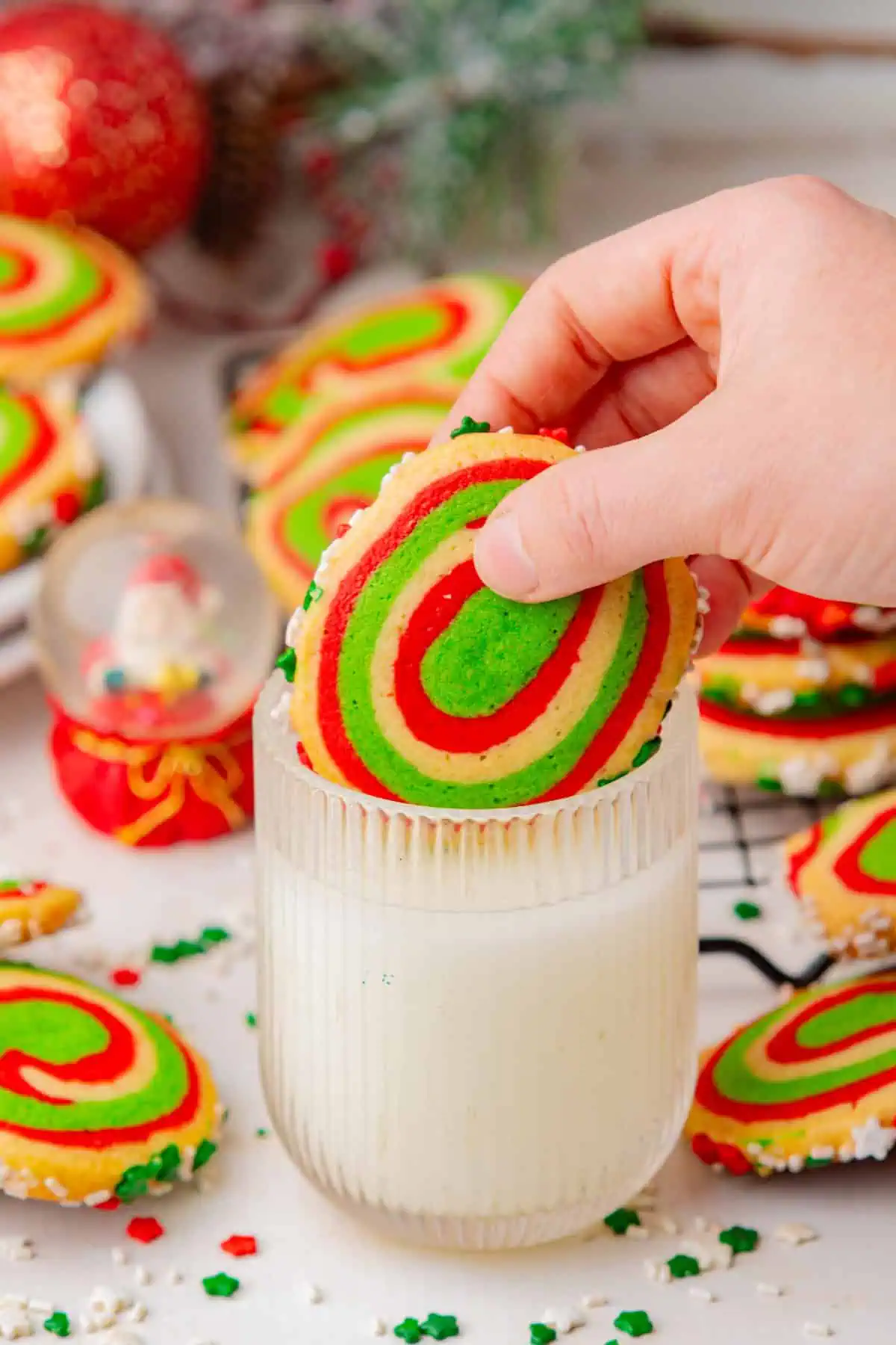Close-up of a hand holding a Christmas pinwheel cookie showing the three-color spiral and a crunchy sprinkle rim and a glass of cold milk